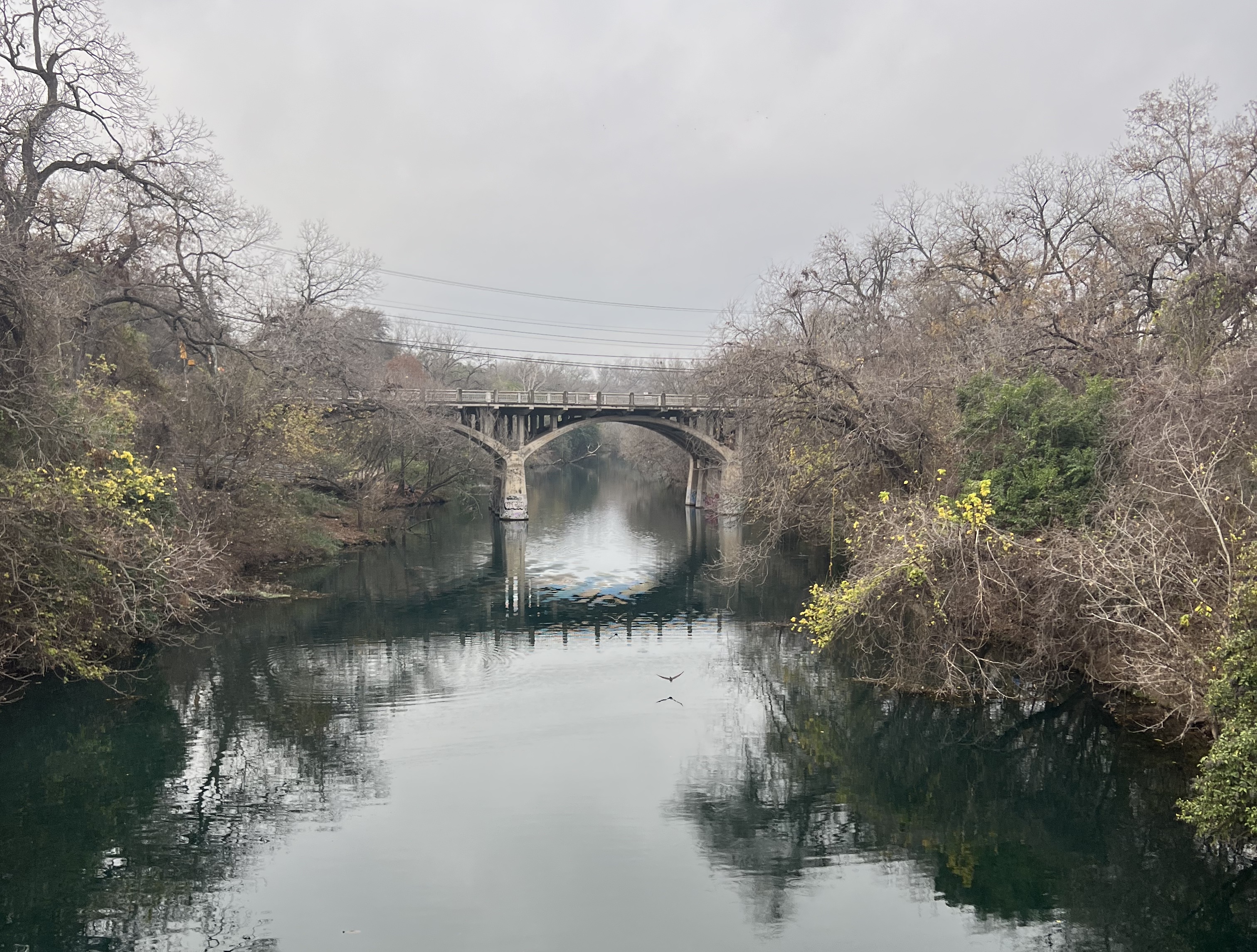 Picture of the bridge over Town Lake, Austin, Texas, in January